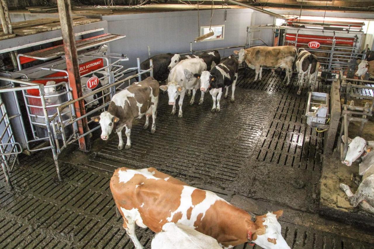 Gite A La Ferme Rouvroy Екстер'єр фото